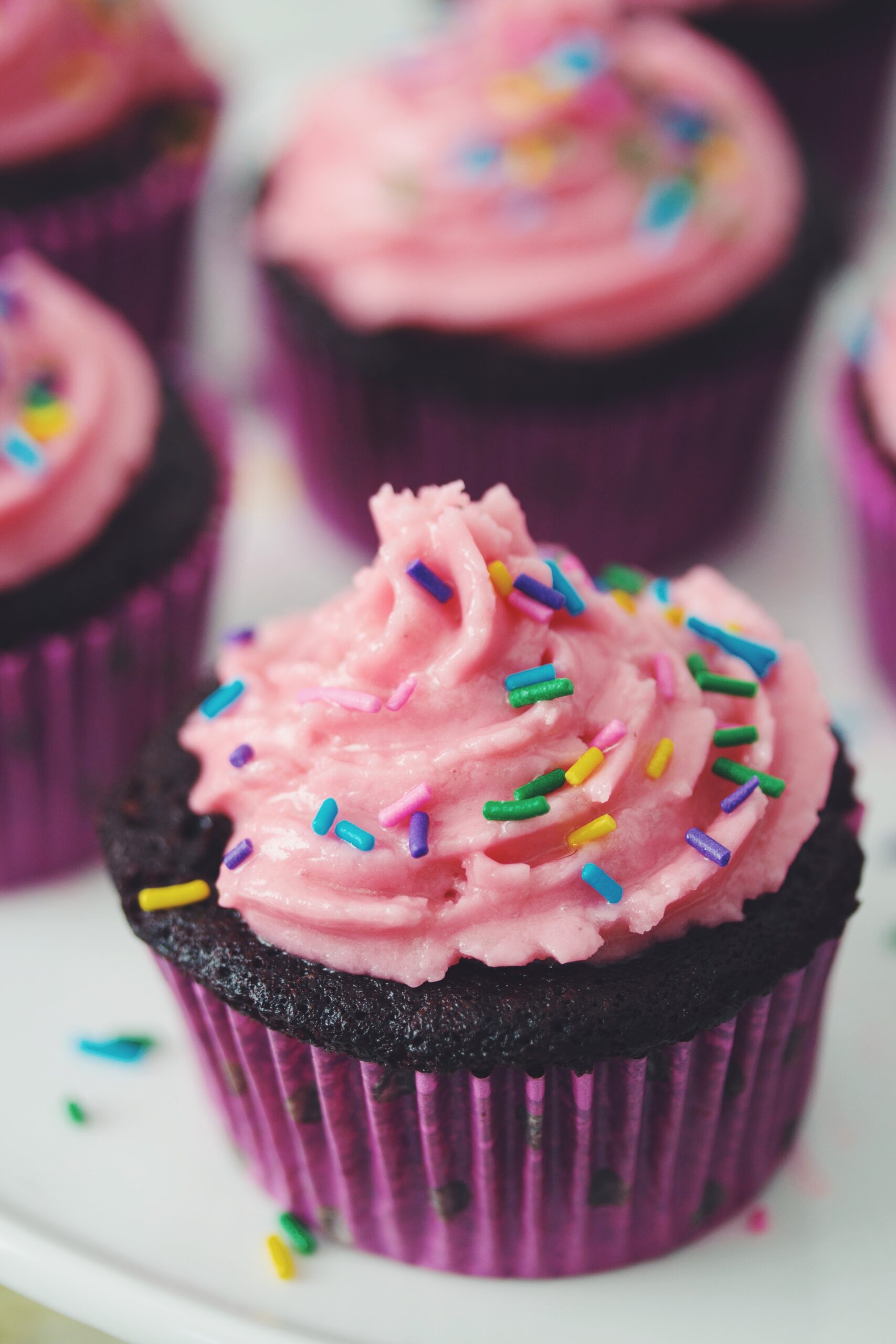 vegan chocolate cupcakes with raspberry buttercream frosting_hot for food